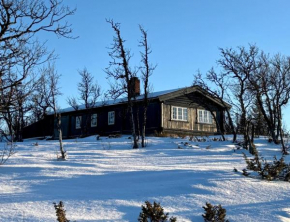 Cozy and warm mountain cabin in Dagali